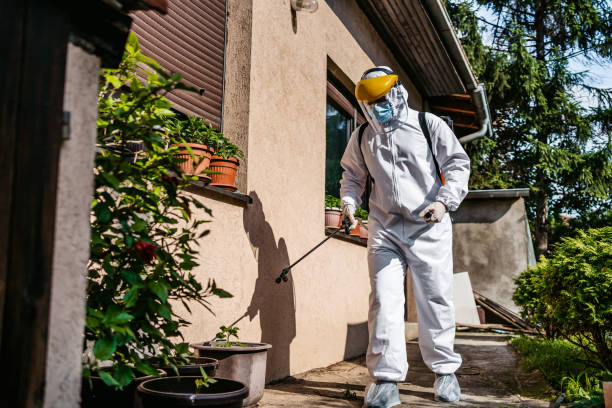 Best Cockroach Control Services  in Long Beach, MS